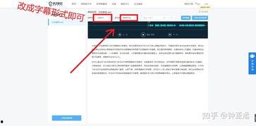 国产文字转视频,创新科技引领视觉盛宴