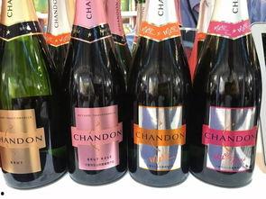 外国喝国产红酒视频播放