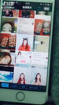 国产sp调教视频,揭秘独特魅力与情感互动