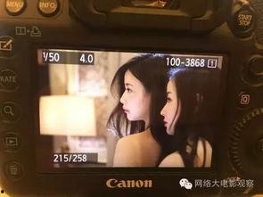 国产在线女同视频网站,情感共鸣与多元文化的交汇点