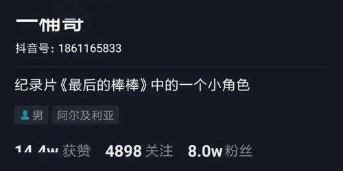 BT 国产 短视频 magnet,磁力链接下的潮流盛宴