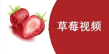 国产区草莓视频,探寻中国草莓产业的魅力与风采