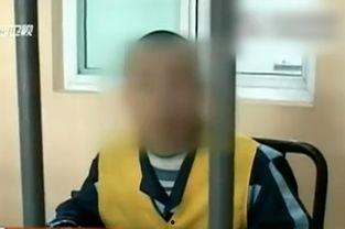 国产精品两性视频,探索情感与欲望的和谐交融